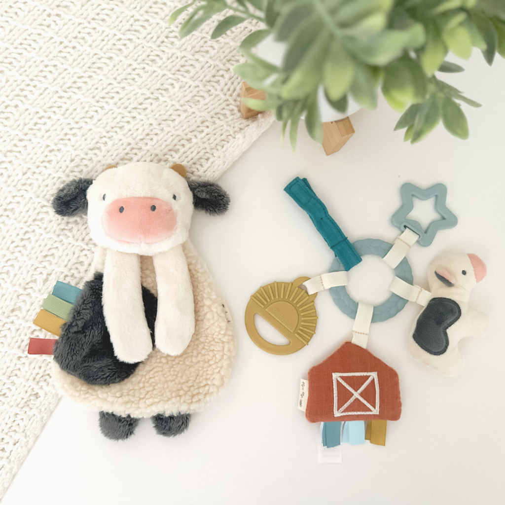 Bitzy Busy Gift Set - Image 10