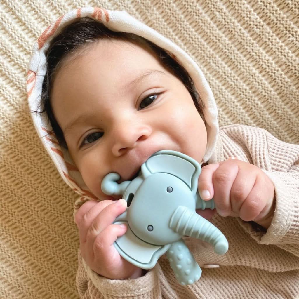 Ritzy Teether™ - Molar Teether - Image 11