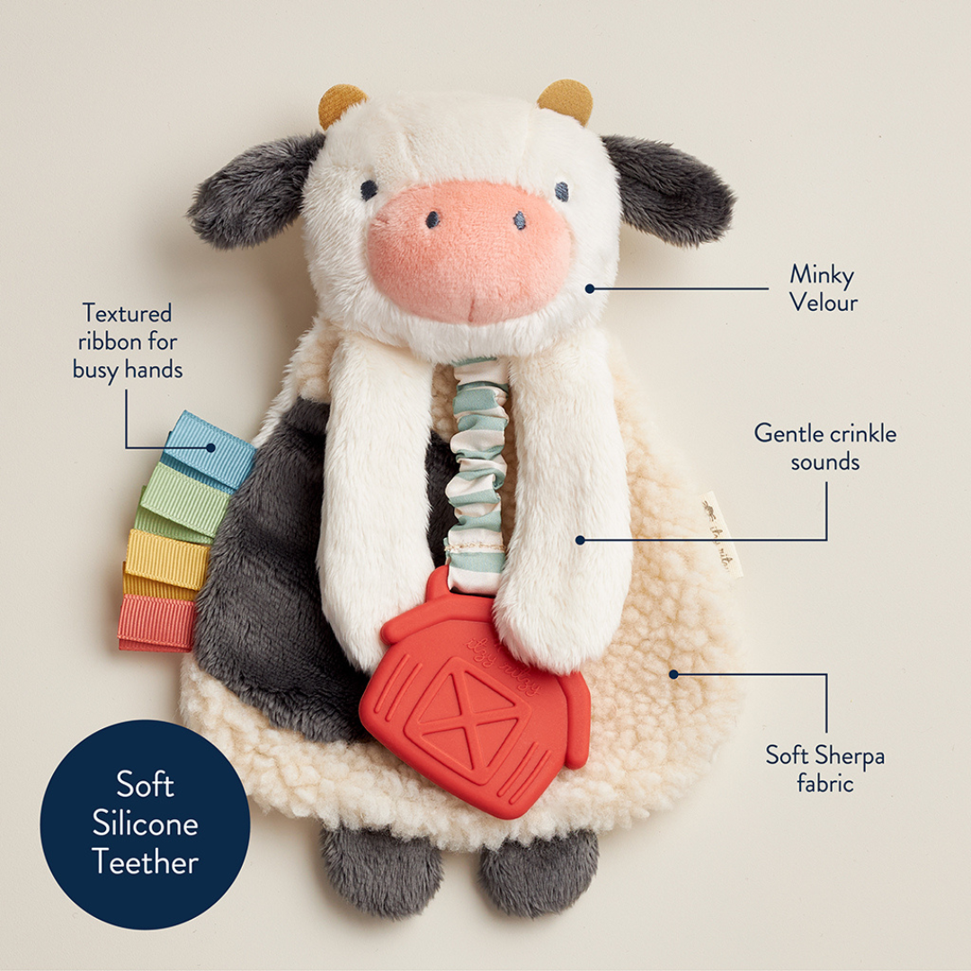 Itzy Lovey™ Plush and Teether Toy - Image 3