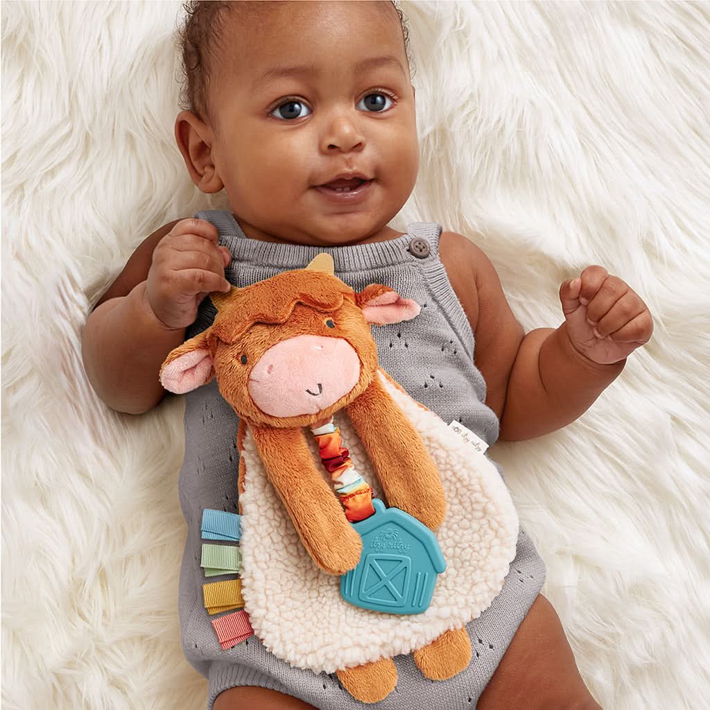 Itzy Lovey™ Plush and Teether Toy - Image 23