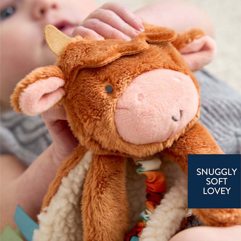 Itzy Lovey™ Plush and Teether Toy - Image 17