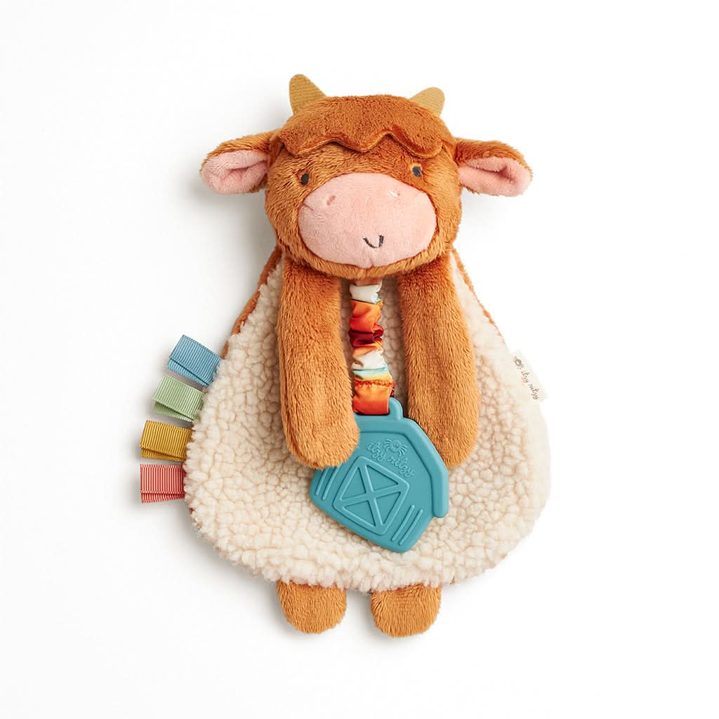 Itzy Lovey™ Plush and Teether Toy - Image 16