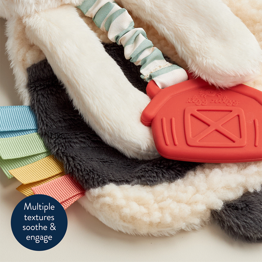 Itzy Lovey™ Plush and Teether Toy - Image 4