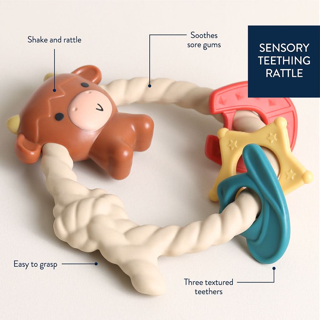 Ritzy Rattle® with Teething Rings - Image 19