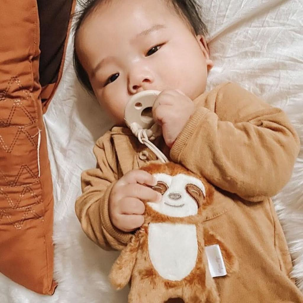 Itzy Paci Pal™ - Pacifier & Stuffed Animal - Image 27