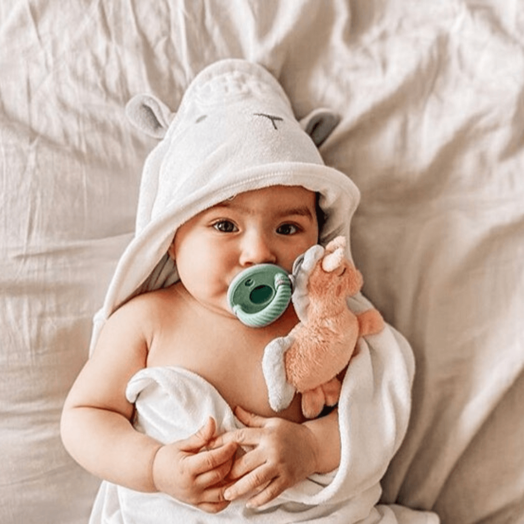Itzy Paci Pal™ - Pacifier & Stuffed Animal - Image 12