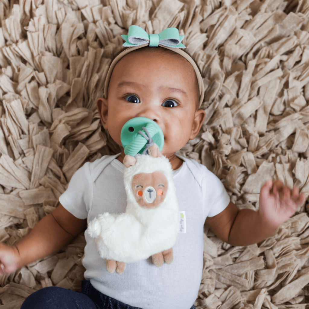 Itzy Paci Pal™ - Pacifier & Stuffed Animal - Image 9