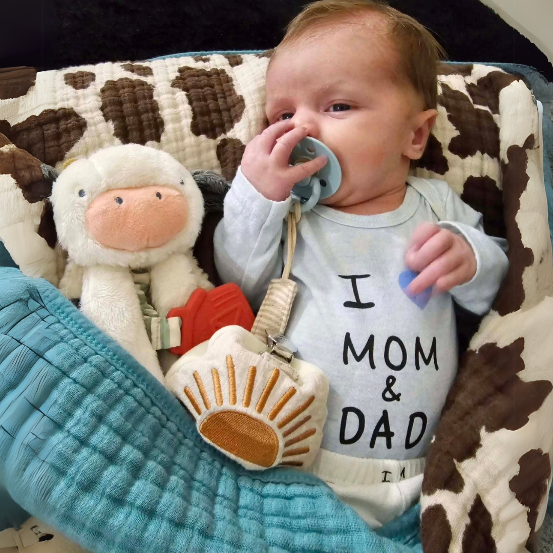 Itzy Lovey™ Plush and Teether Toy - Image 5